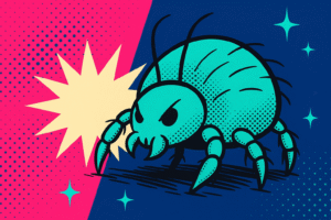 how to get rid of dust mites