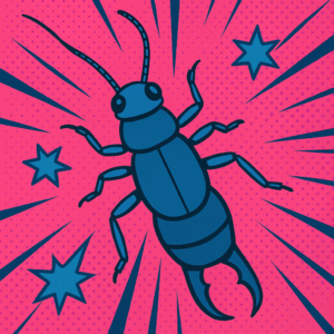 how to get rid of earwigs