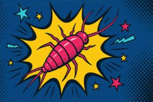 how to get rid of silverfish